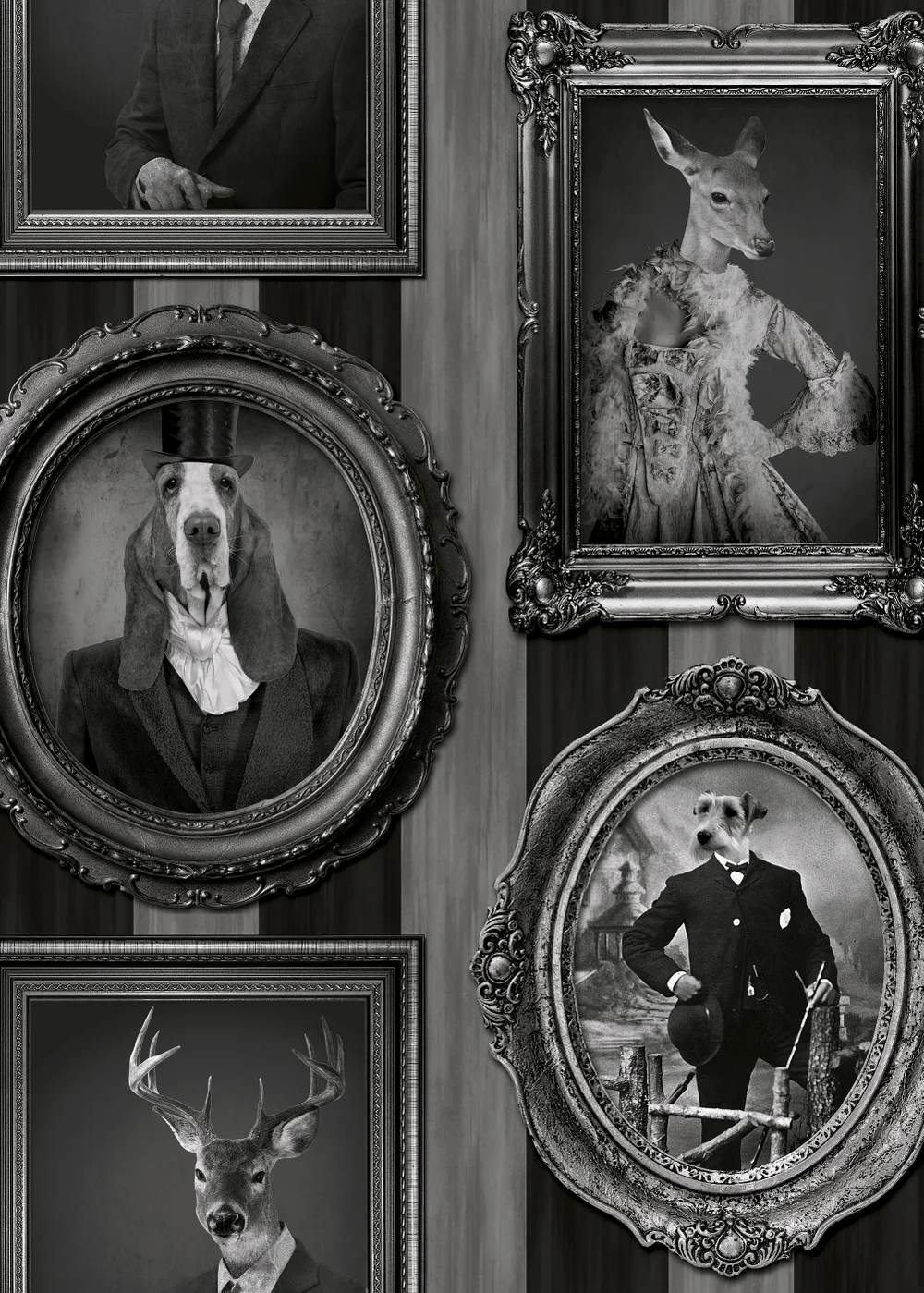 Muriva Dogs in Frames Wallpaper - One Size Image 1