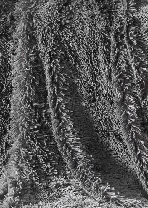 Catherine Lansfield Cuddly Deep Pile Blanket Throw (150x200cm) - One Size Image 3