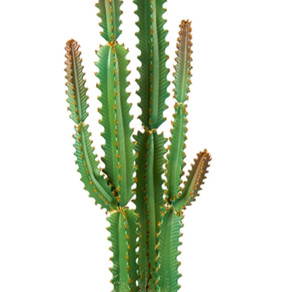 Premier Decorations Artificial Potted Cereus Cactus 101cm - One Size Image 2