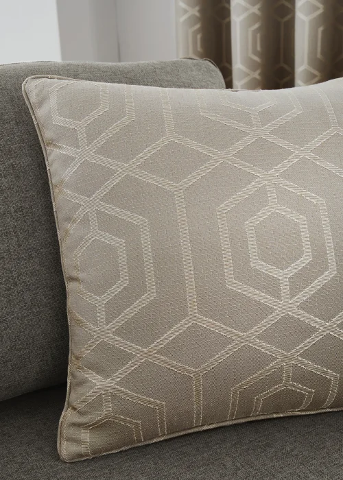 Curtina Camberwell Cushion (43cm x 43cm) - One Size Image 1