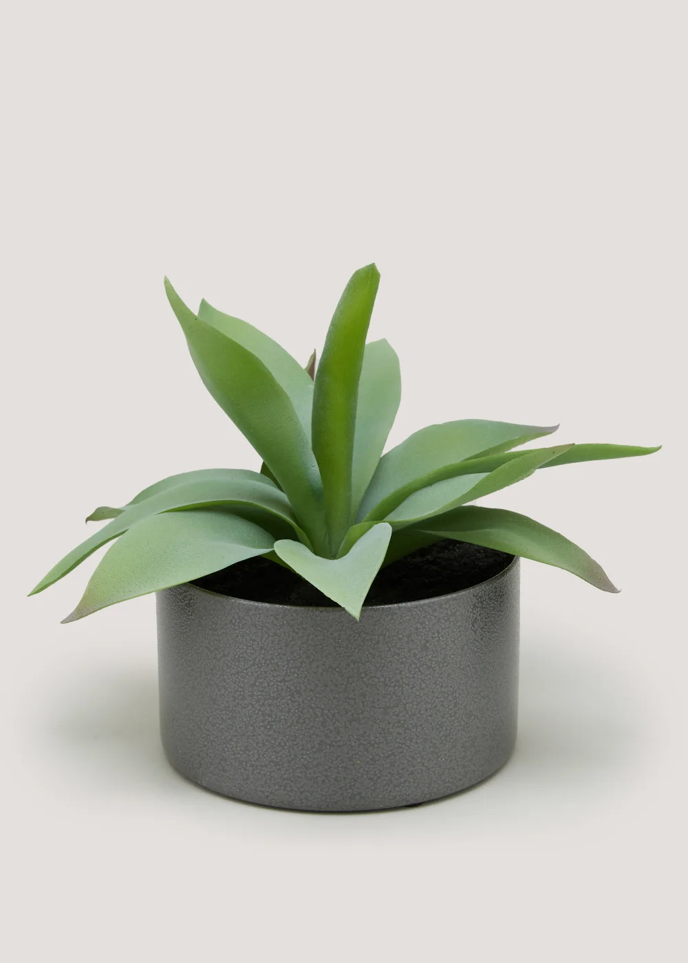 Agave in Iron Pot (22cm x 15cm) Image 1