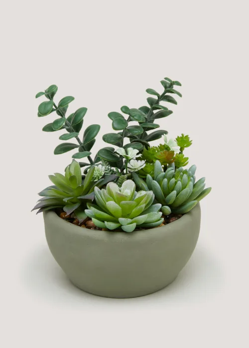 Succulents in Round Cement Bowl (8cm x 12cm) Image 1