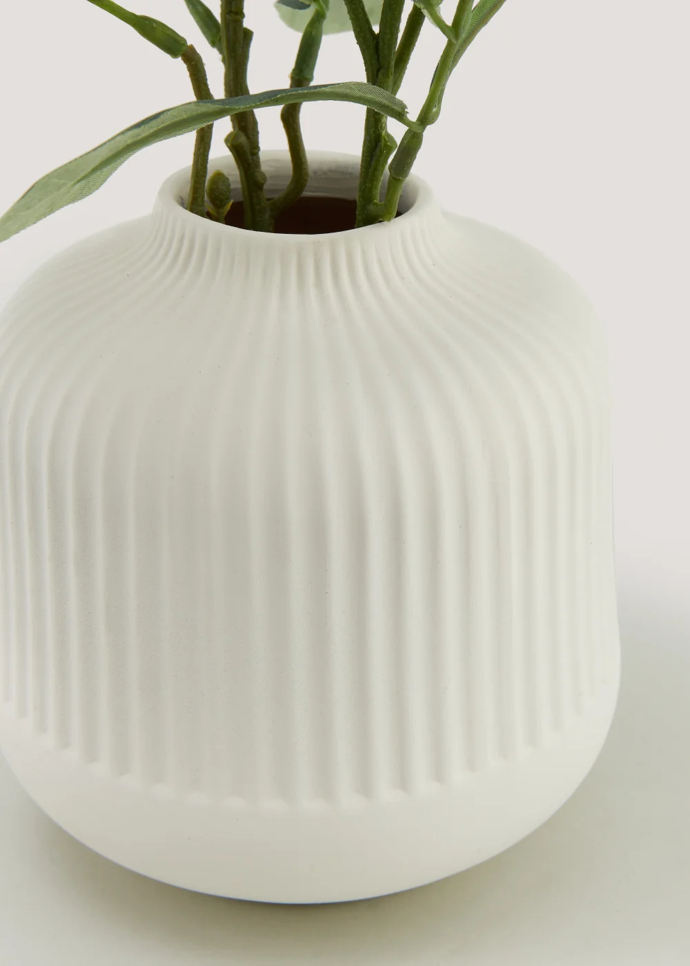 Olive Branch in Cream Ribbed Vase Image 2