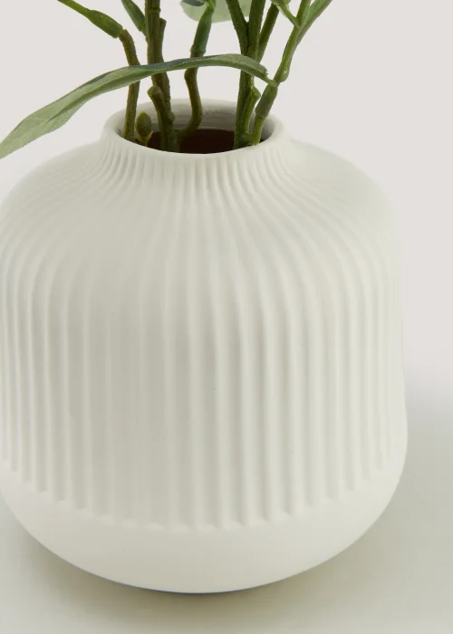 Olive Branch in Cream Ribbed Vase Image 2