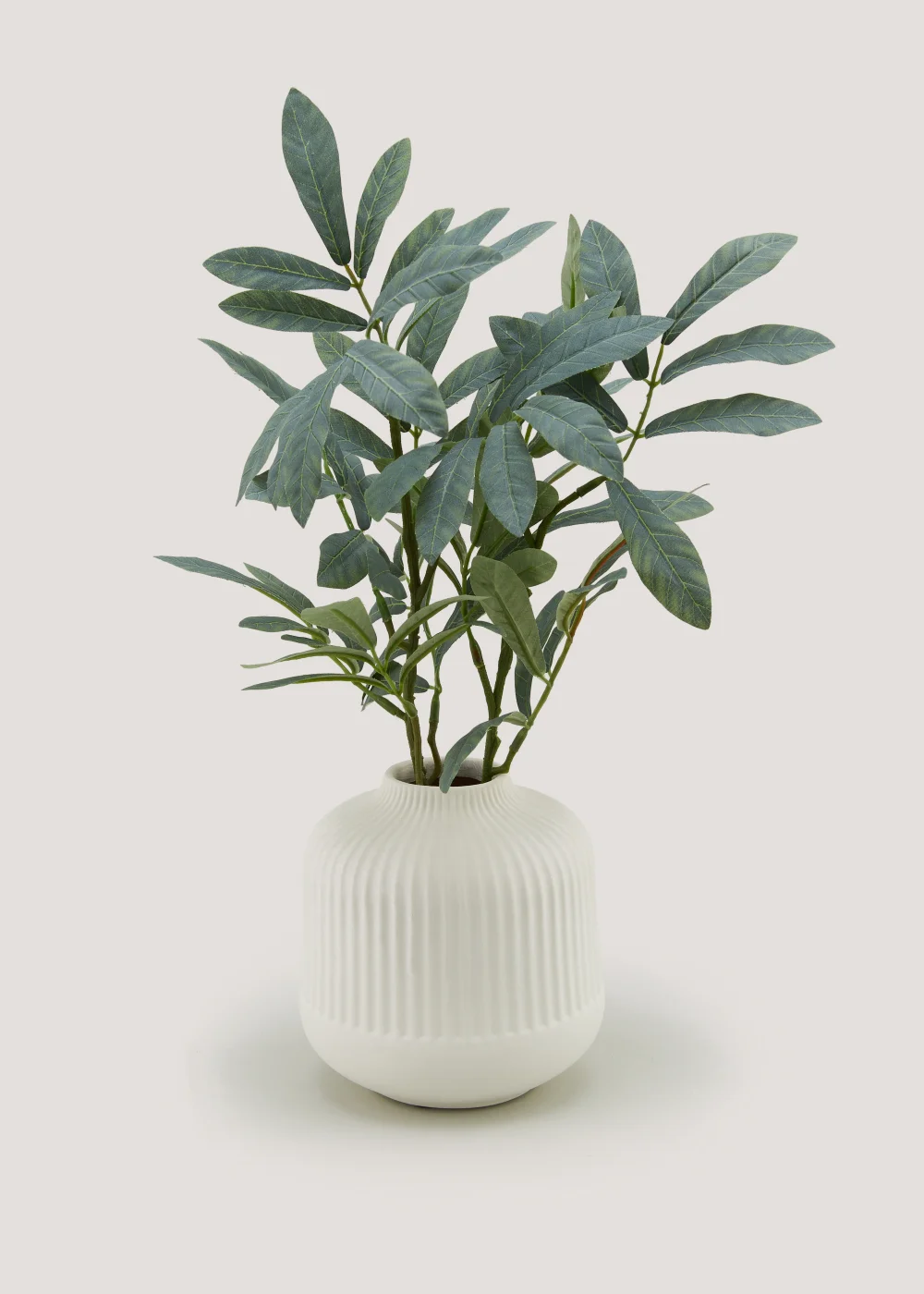 Olive Branch in Cream Ribbed Vase Image 1