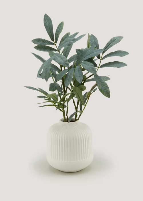 Olive Branch in Cream Ribbed Vase Image 1