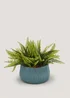 Fern in Blue Ribbed Pot (24cm x 15cm) Image 1