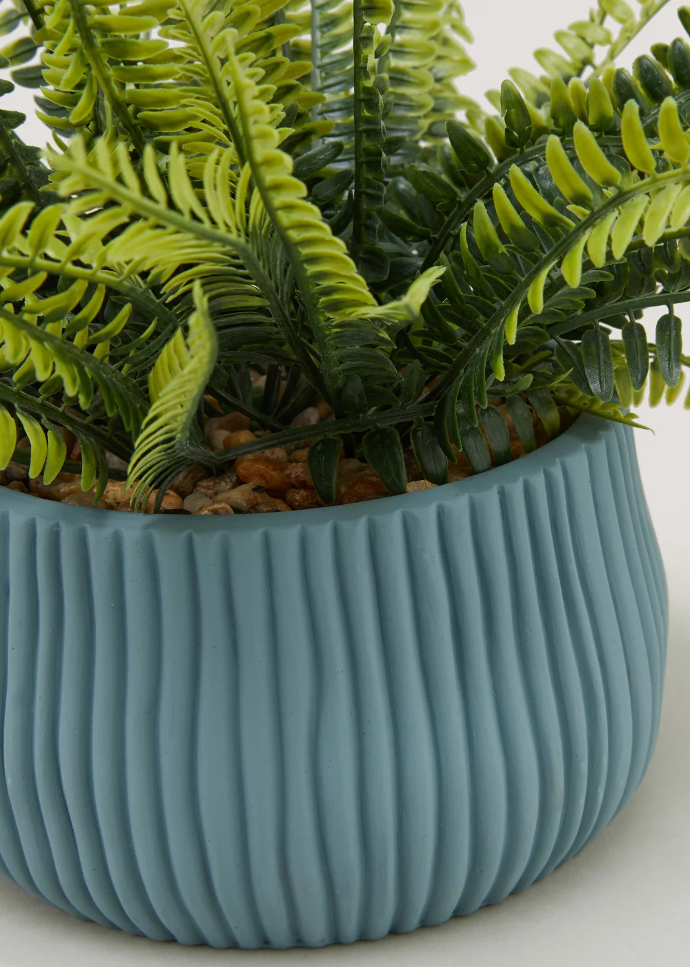 Fern in Blue Ribbed Pot (24cm x 15cm) Image 2