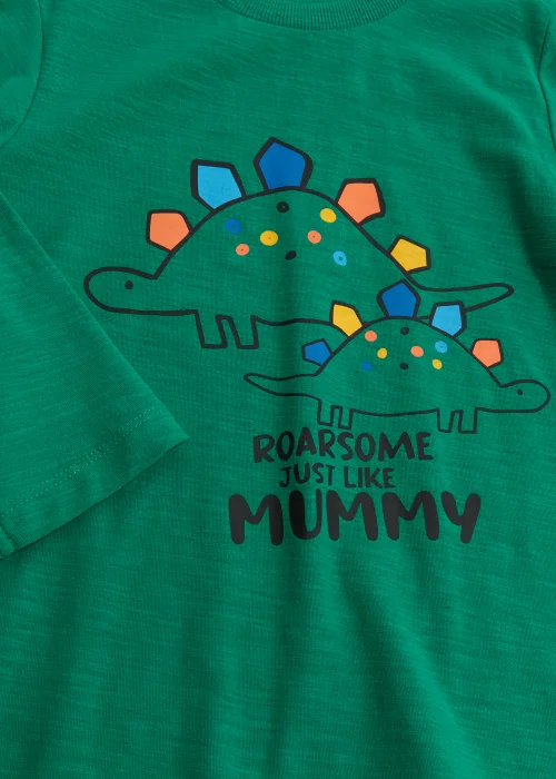 Boys Green Mummy Dinosaur T-Shirt (9mths-6yrs) - 9-12 months Image 2