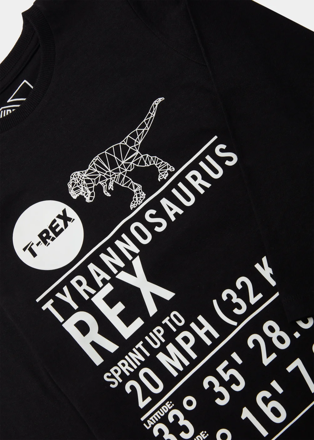 Boys Black Dinosaur Text Long Sleeve T-Shirt (4-13yrs) - 4 Yrs Image 6
