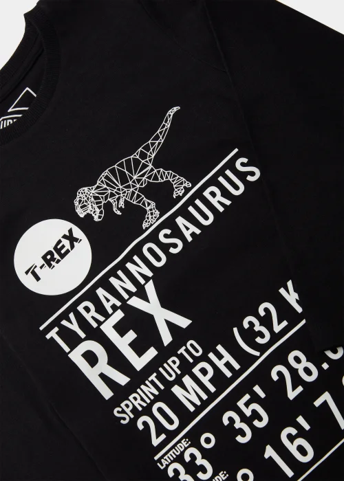 Boys Black Dinosaur Text Long Sleeve T-Shirt (4-13yrs) - 4 Yrs Image 6