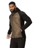 Regatta Brown Andreson VII Hybrid Jacket - S Image 1