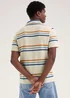 Ecru Stripe Print Textured Polo Shirt - Small Image 2