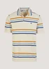 Ecru Stripe Print Textured Polo Shirt - Small Image 5