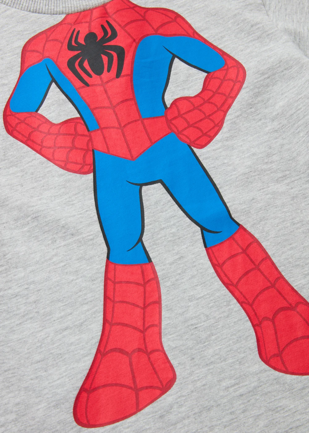 Boys Grey Spider-Man T-Shirt (9mths-6yrs) - Age 9 - 12 Months Image 2