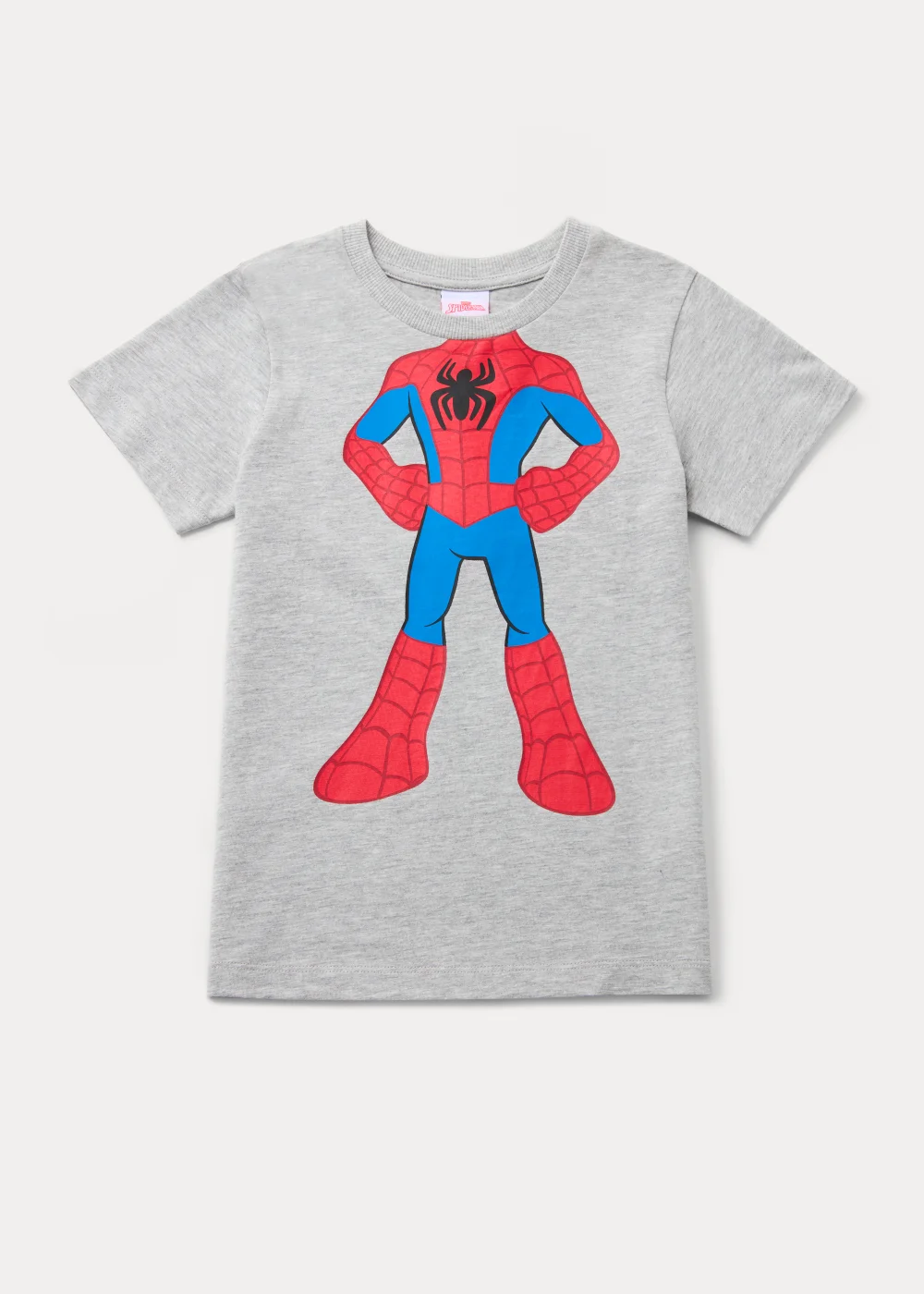 Boys Grey Spider-Man T-Shirt (9mths-6yrs) - Age 9 - 12 Months Image 1