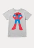 Boys Grey Spider-Man T-Shirt (9mths-6yrs) - Age 9 - 12 Months Image 1