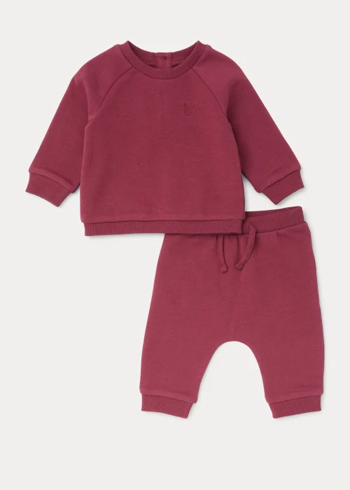 Baby Berry Sweatshirt & Joggers Set (Newborn-23mths) - Age 0 - 3 Months Image 1