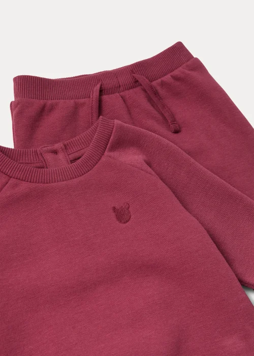 Baby Berry Sweatshirt & Joggers Set (Newborn-23mths) - Age 0 - 3 Months Image 2