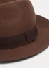 Brown Fedora Image 2