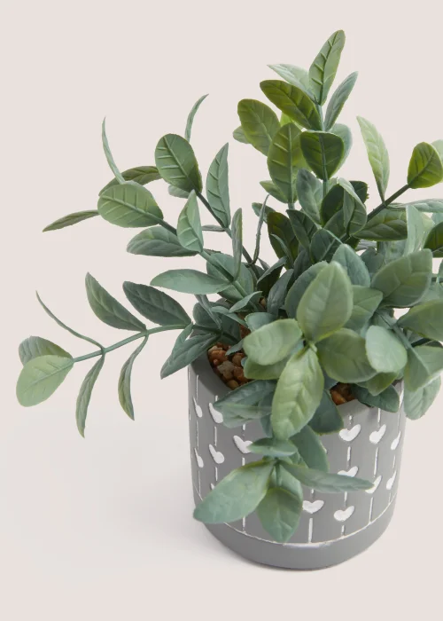 Eucalyptus in Mini Heart Pot Image 2