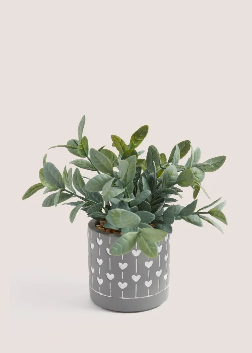 Eucalyptus in Mini Heart Pot Image 1