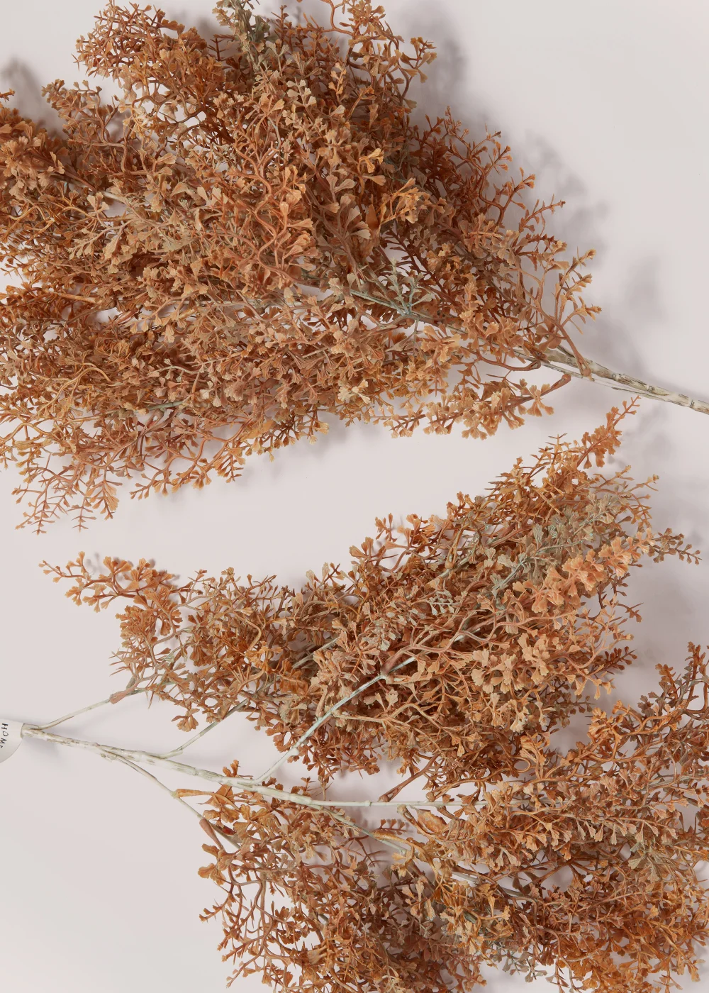 2 Pack Orange Ruscus Single Stems (85cm) Image 2