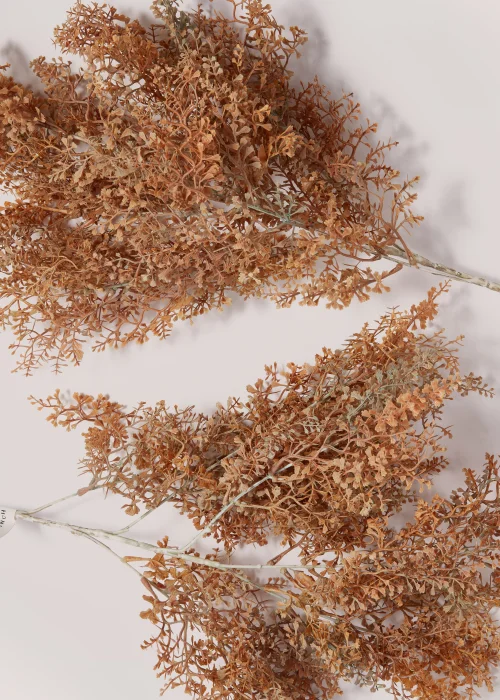 2 Pack Orange Ruscus Single Stems (85cm) Image 2