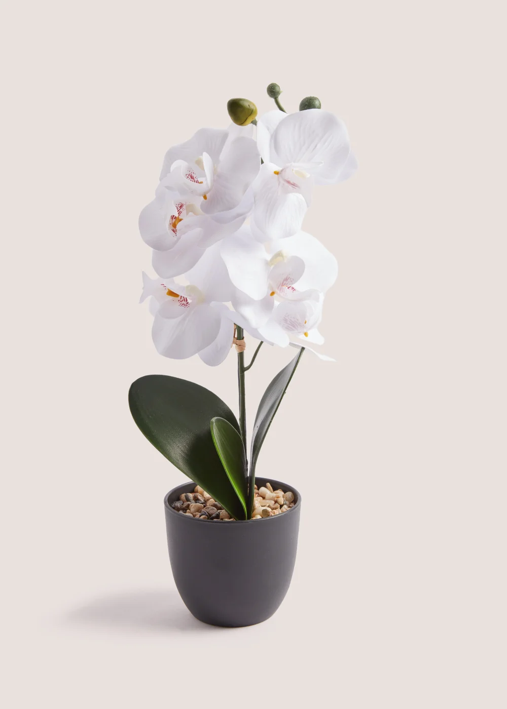 Mini Orchid Plastic Pot (38cm) Image 1