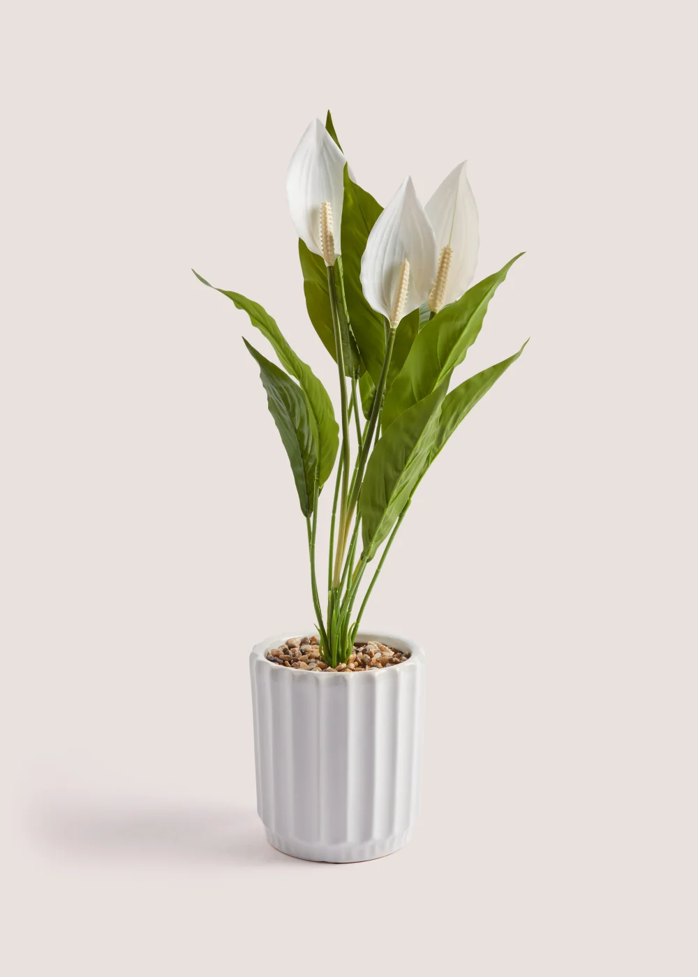 Peace Lily Ribbed Pot (62cm) Image 1