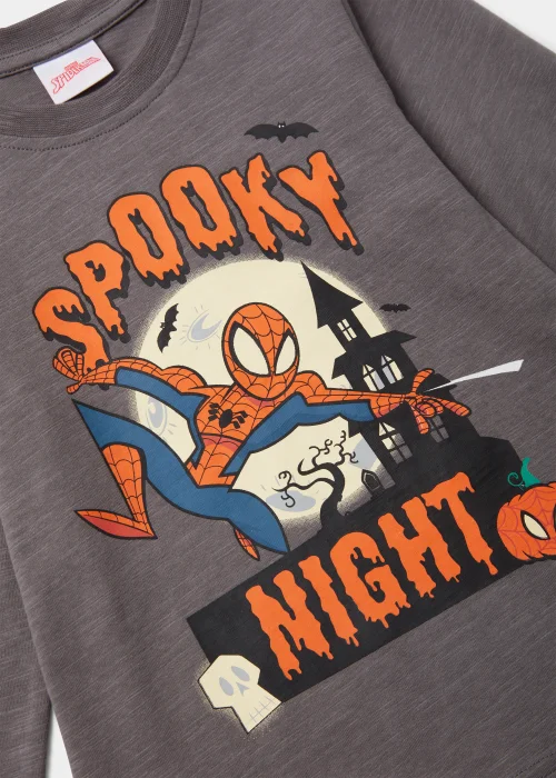 Kids Charcoal Halloween Spider-Man T-Shirt (3-8yrs) - 3 Yrs Image 2