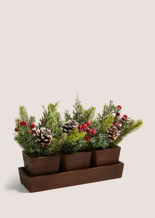 Berries in Wood Tray (25cm x 28cm x 9.5cm) Image 1