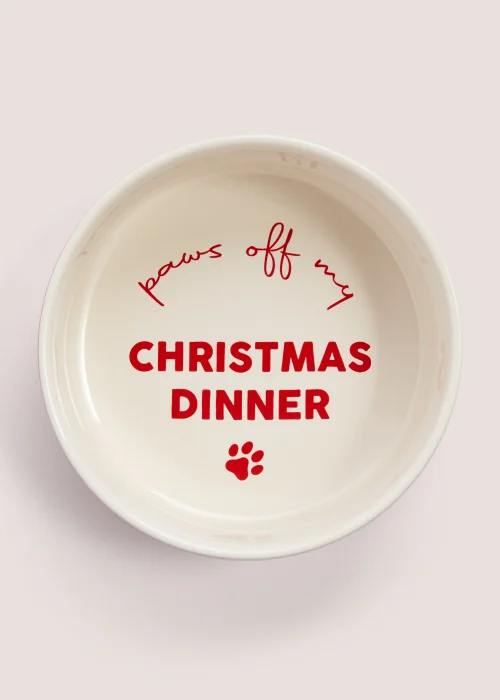 Santa Christmas Pet Bowl (15cm x 15cm x 6cm) Image 2