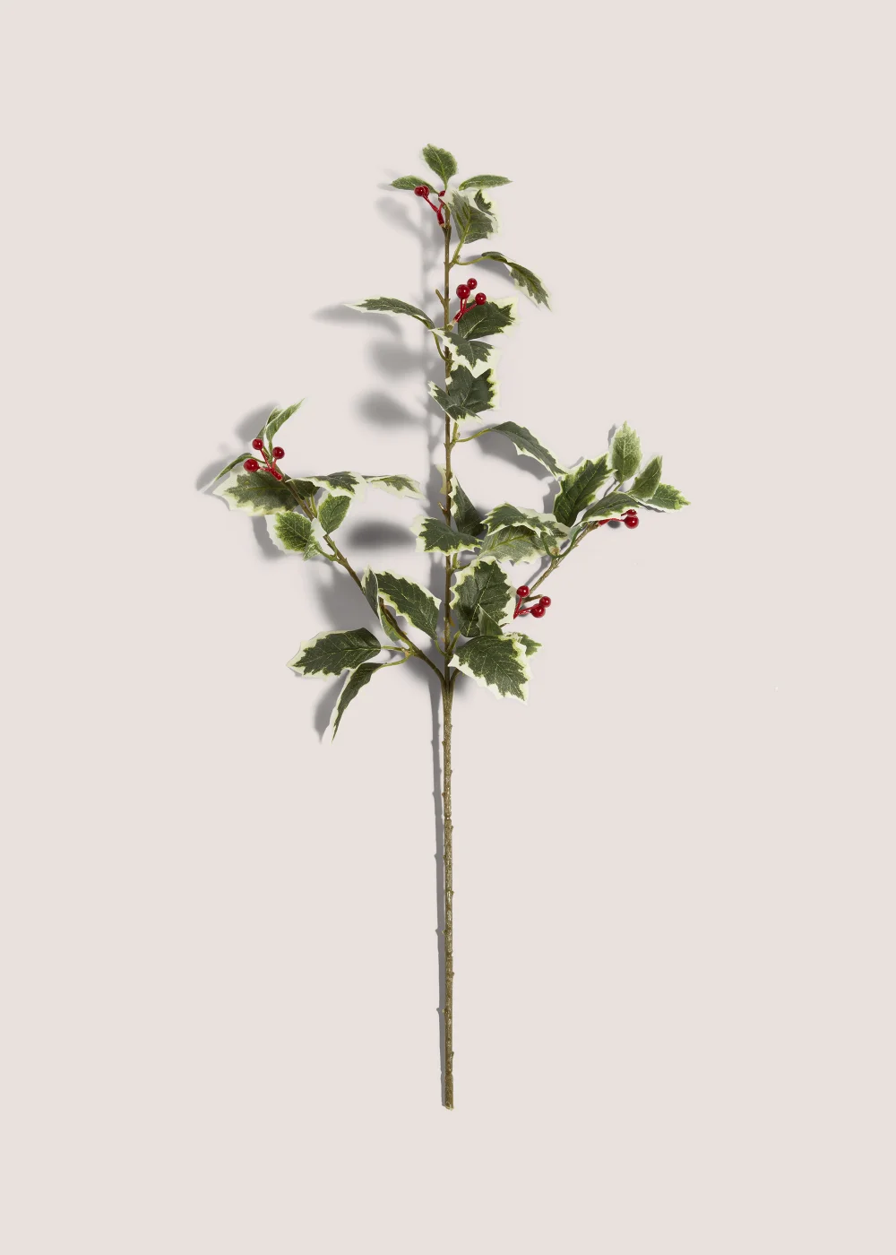 Holly Single Stem (85cm) Image 1