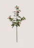 Holly Single Stem (85cm) Image 1