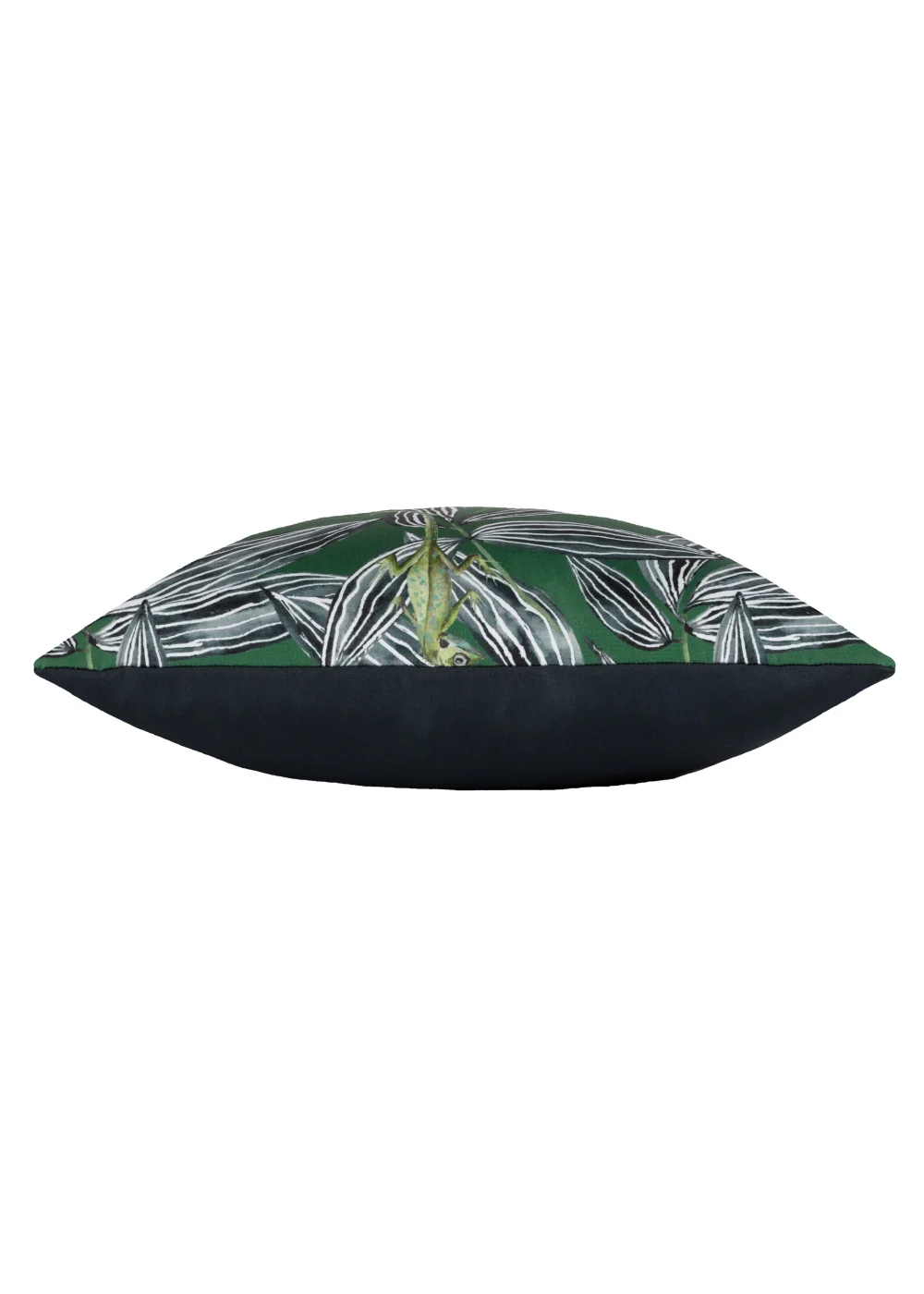 Wylder Tropics Ebon Wilds Zuri Outdoor Filled Cushion (43cm x 43cm x 8cm) - One Size Image 3
