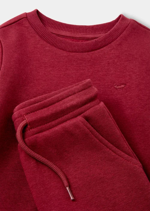 Boys Berry Crew Neck Sweatshirt & Joggers Set (9mths-6yrs) - 9-12 months Image 2