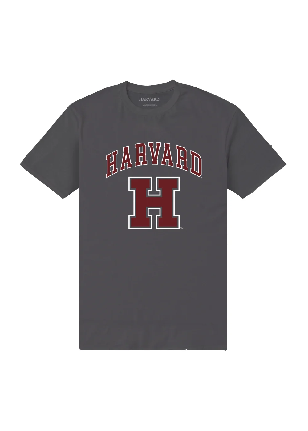 Charcoal Harvard Print T-Shirt - Small Image 7