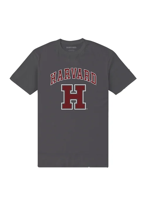 Charcoal Harvard Print T-Shirt - Small Image 7