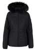 Trespass Translate Black Padded Jacket - S Image 1
