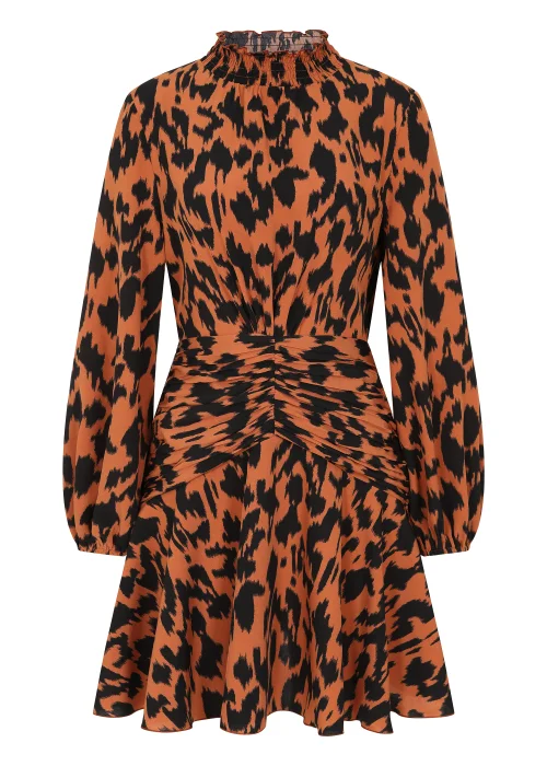 Little Mistress by Vogue Williams Multicoloured Leopard Mini Dress - 8 Image 5