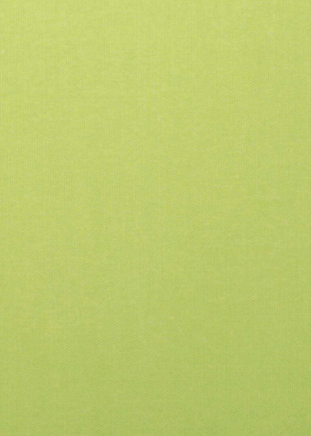 Fusion Plain Dye Filled Lime Green Outdoor Cushion - 43W X 43D Image 3