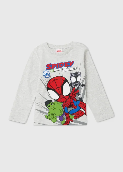 Kids Grey Spider-Man & Friends Print Long Sleeve T-Shirt (18mths-6yrs) - 2-3 Yrs Image 1