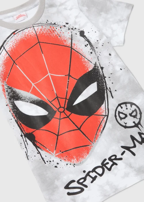 Kids Grey Marvel Spider-Man Graffiti T-Shirt (4-13yrs) - Age 4 Years Image 2
