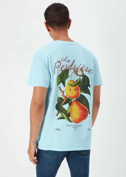 Aqua Pears T-Shirt - Small Image 2
