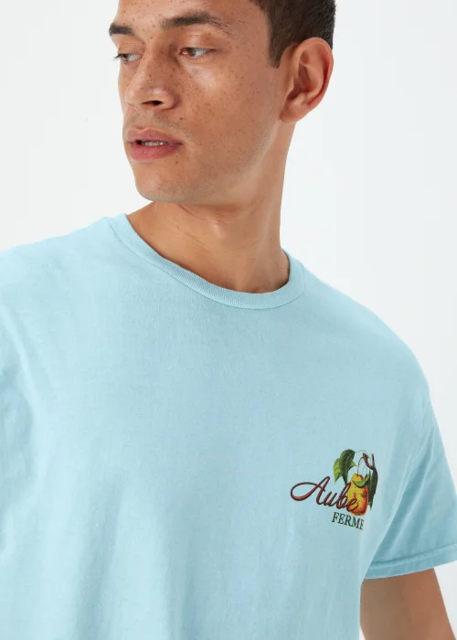Aqua Pears T-Shirt - Small Image 3