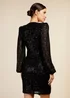 Little Mistress Black V-Neck Sequin Mini Dress - 8 Image 2