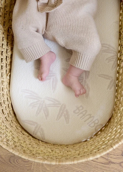 Clair de Lune Natural Bamboo Palm Moses Basket/Noah Pod Mattress - One Size Image 3