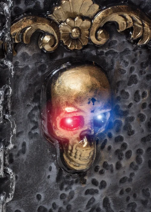 Premier Decorations Battery Operated Pirate Box with Sound Light and Vibrations (50cm) - One Size Image 2