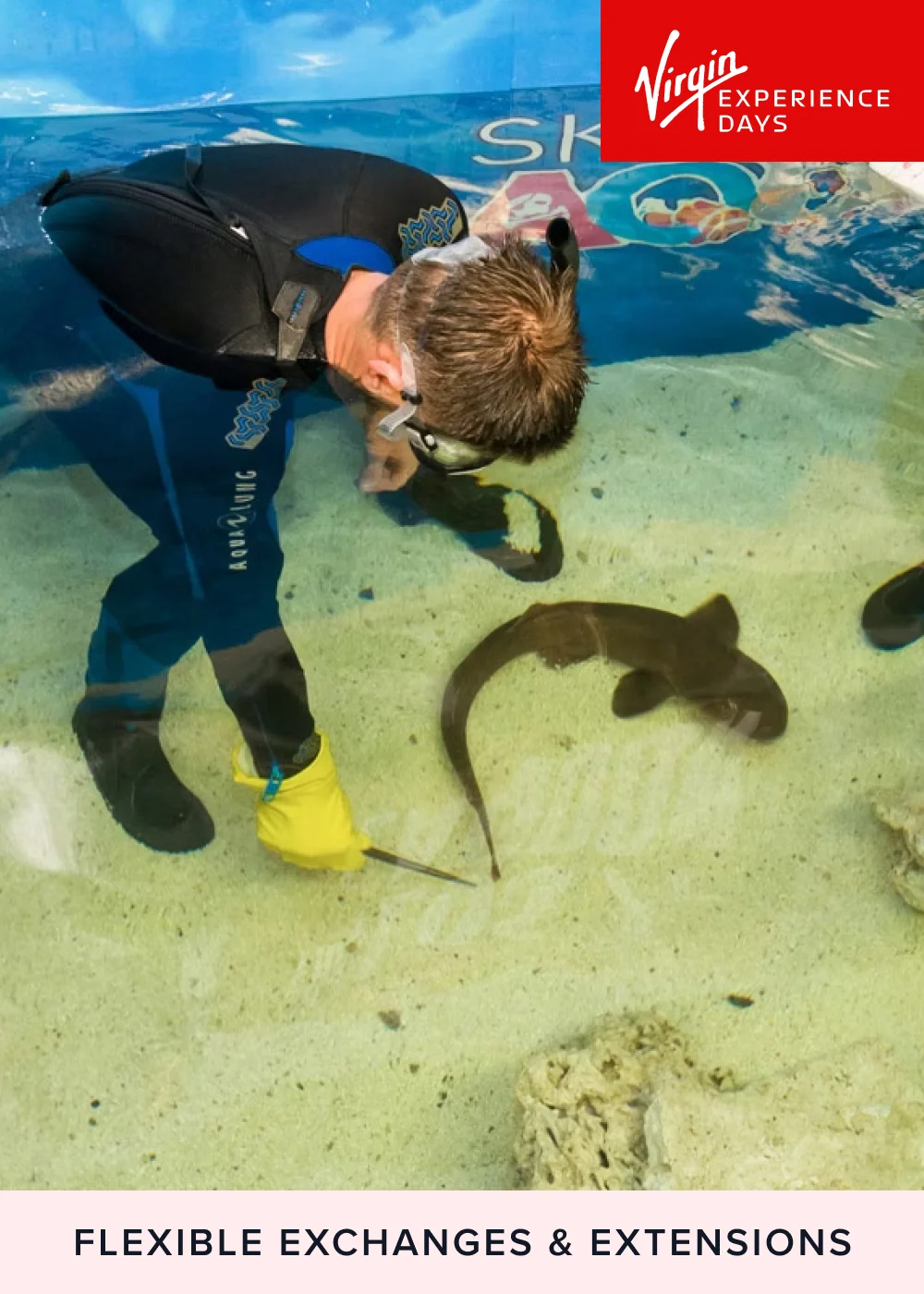 Virgin Experience Days Junior Snorkel with Baby Sharks at Skegness Aquarium - No Size Image 1